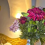 La Casa Felice Apartamento Parabita